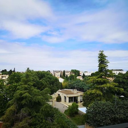 Studio - Centre Ville - Free Parking Montpellier Dış mekan fotoğraf